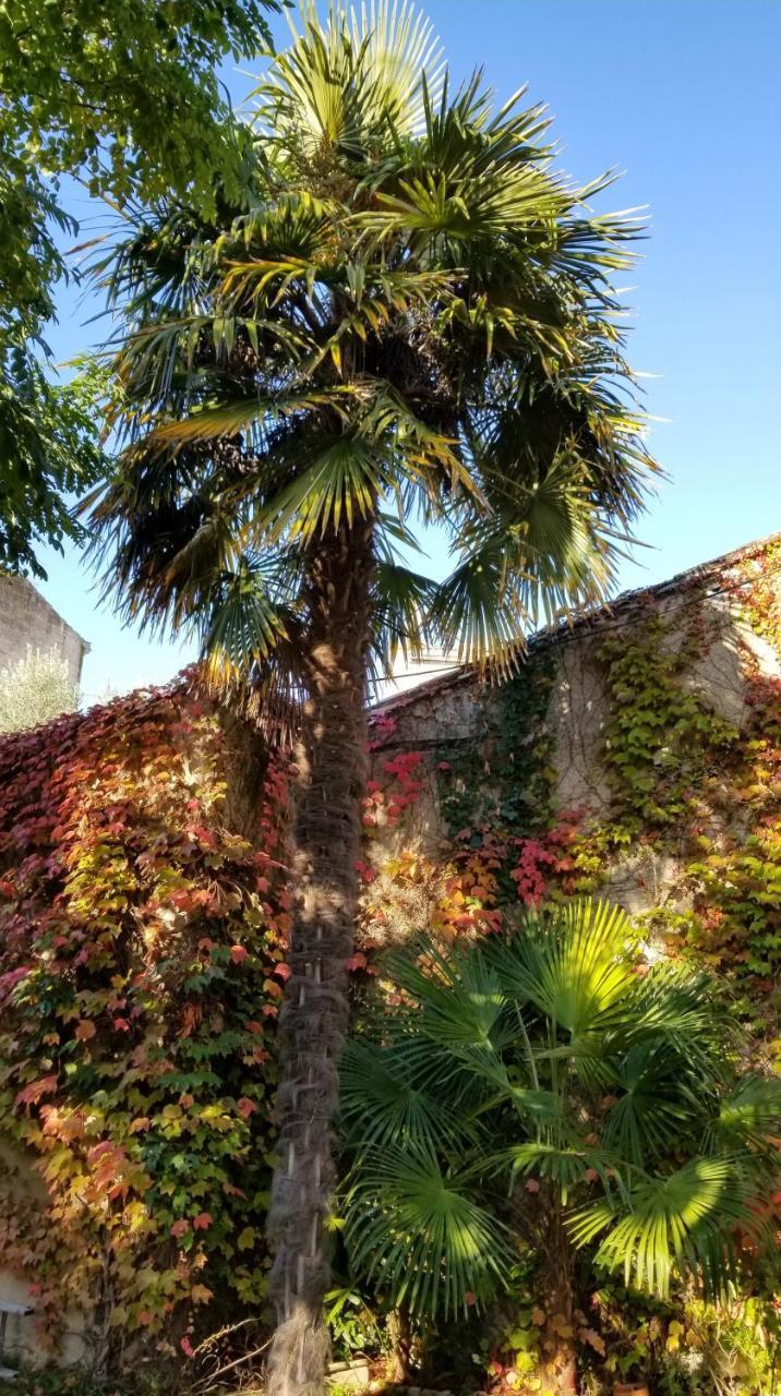 La Maison Blanche Blaye Extérieur photo